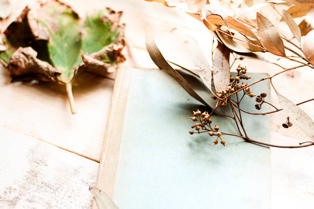 istock autumn leaves on rustic wooden table 1071104774