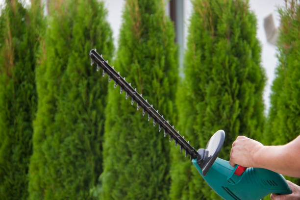 istock Gardener with a professional garden tools at work. planting of greenery 1071108856