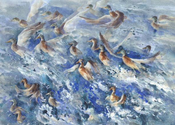 istock A flock of ducks in the sea splashes watercolor 1071110072