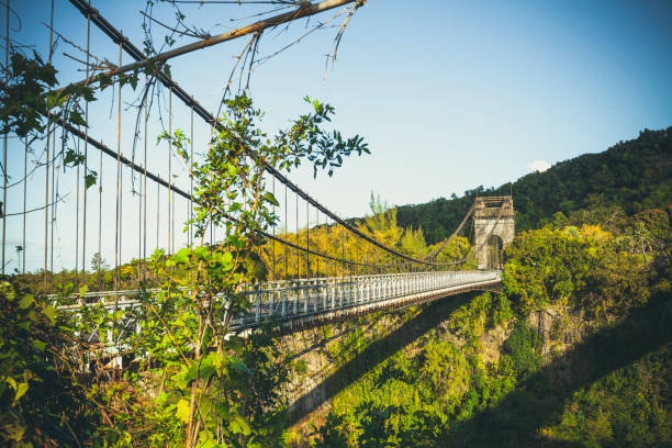 istock bridge suspension bridge, reunion island 1071110386