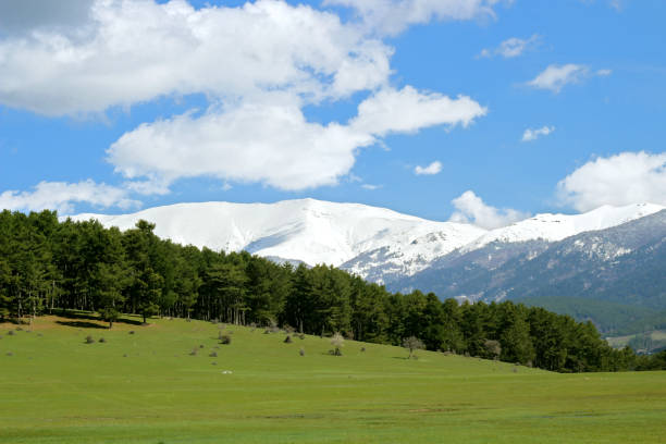 istock Increadible view which has mountain,snow,and trees 1071115198
