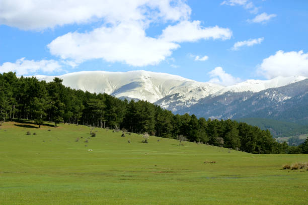 istock Increadible view which has mountain,snow,and trees 1071115584