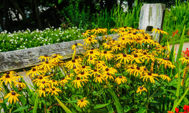 istock Fence of Flowers 1071115598