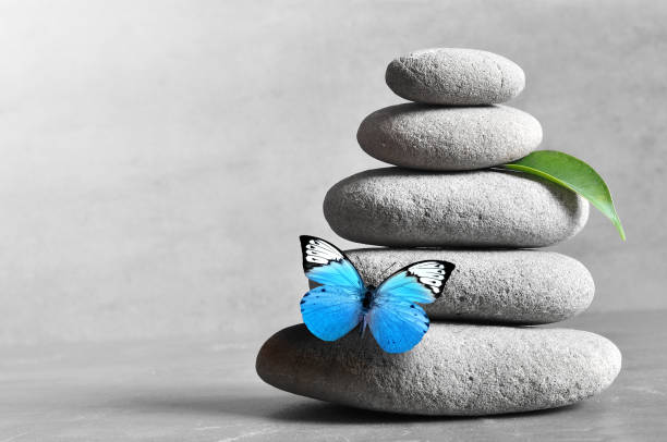 istock Butterfly, light and balanced stones. Green leaf. Zen and spa concept. 1071115896