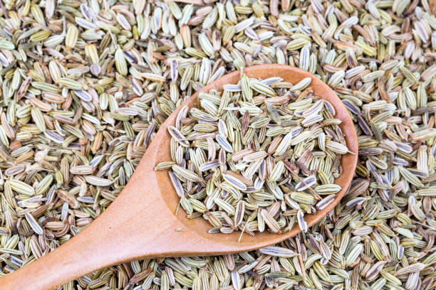 istock Dried herb, fennel seeds isolated, top view 1071121856