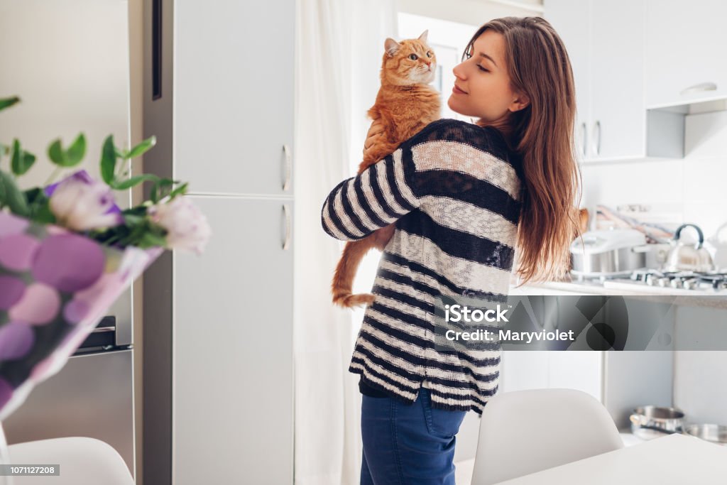 Joven jugando con el gato en la cocina en casa. Niña sosteniendo y levantando el gato rojo - Foto de stock de Gato doméstico libre de derechos