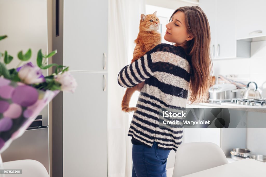 Young woman playing with cat in kitchen at home. Girl holding and raising red cat Young woman playing with cat in kitchen at home. Girl holding and raising red cat. Happy master having fun with her pet Domestic Cat Stock Photo