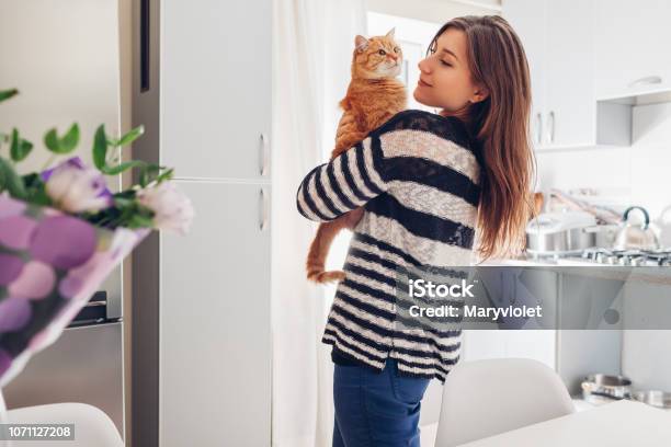 Young Woman Playing With Cat In Kitchen At Home Girl Holding And Raising Red Cat Stock Photo - Download Image Now