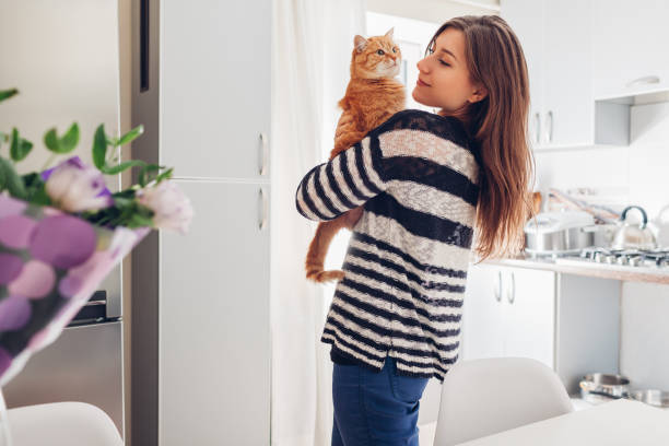 młoda kobieta bawi się z kotem w kuchni w domu. dziewczyna trzymająca i podnosząca czerwony kot - white domestic cat kitten young animal zdjęcia i obrazy z banku zdjęć