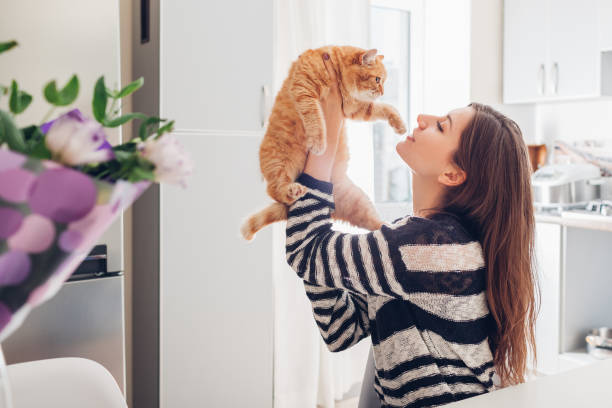 młoda kobieta bawi się z kotem w kuchni w domu. dziewczyna trzymająca i podnosząca czerwony kot - domestic kitchen people fun lifestyles zdjęcia i obrazy z banku zdjęć