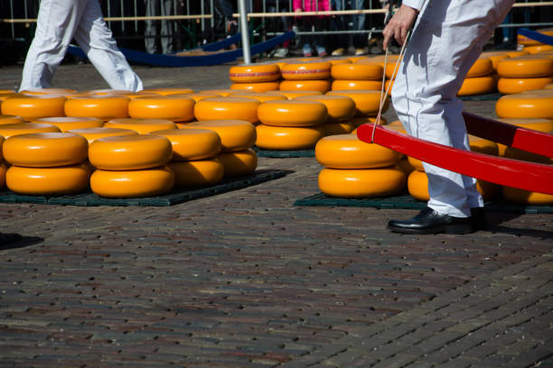 istock Cheese Market in Alkmaar, Netherlands 1071128322