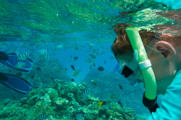 Swimming With the Tahitian Fish