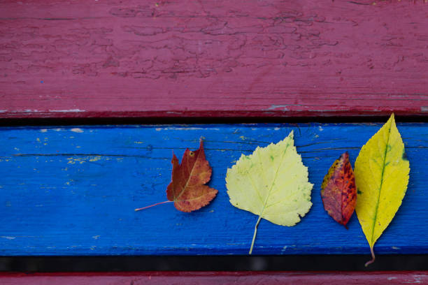 istock 4 autumn leaves 1071139434