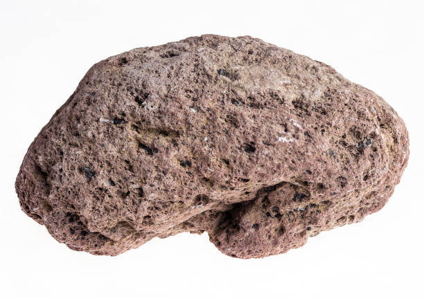istock brown pumice stone on white background 1071141634