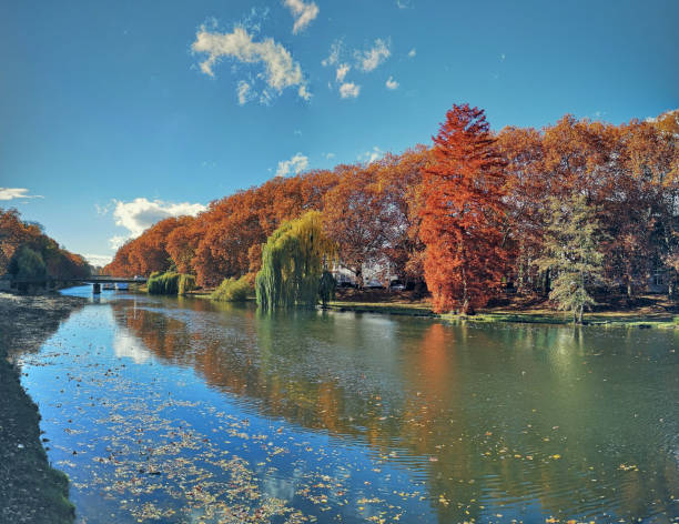 Neckar river in autumn, Heilbornn Neckar river in autumn, Heilbornn heilbronn stock pictures, royalty-free photos & images