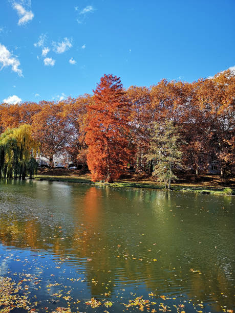 istock Neckar river in autumn, Heilbornn 1071144936