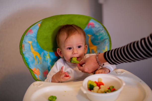 istock feeding baby – Happy adorable boy eating chocolate 1071145124