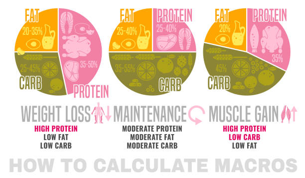 Healthy eating Poster Crafting your macronutrient ratio. Fat loss, bodybuilding and health maintenance diets diagrams. Colourful vector illustration isolated on a white background. Healthy eating concept. glycogen stock illustrations