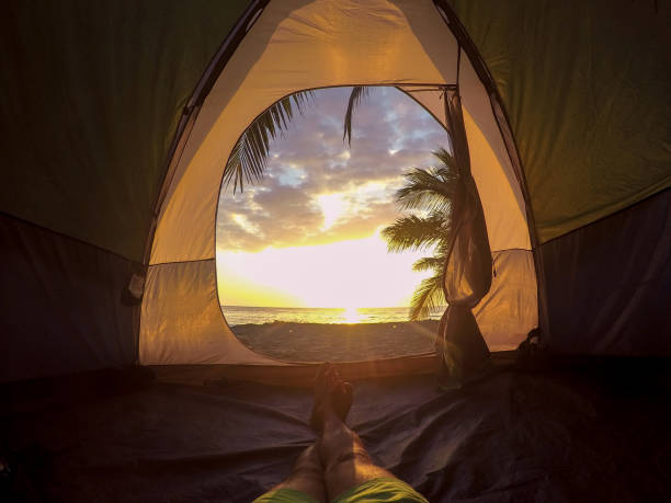 sunset view from inside of tent