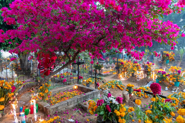 Graves in the old cemetery in San Agustin Etla, Oaxaca, Mexico, decorated for the the Día de los Muertos festival.
(Note for resubmission: These graves are decorated with flowers, fruit, candles, the deceased's favorite food, and other perishable items which are taken down immediately after the holiday period. These decorations are put up all over Mexico. As temporary structures meant to honor dead relatives, they hardly would be considered candidates for copyright protection, and this photographer has never heard of such a thing).
(Note for second resubmission: identifiable persons have been obscured).
