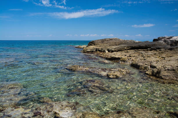 istock Adriatic coast at Savudrija, Istria, Croatia 1071165896