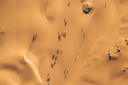 Aerial view of people walking through the desert