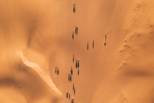 Aerial view of people walking through the desert