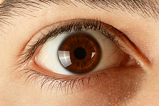 Brown male eyes