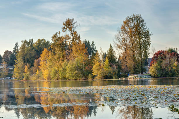 istock Mill Lake, Abbortsford, BC, Canada 1071177184