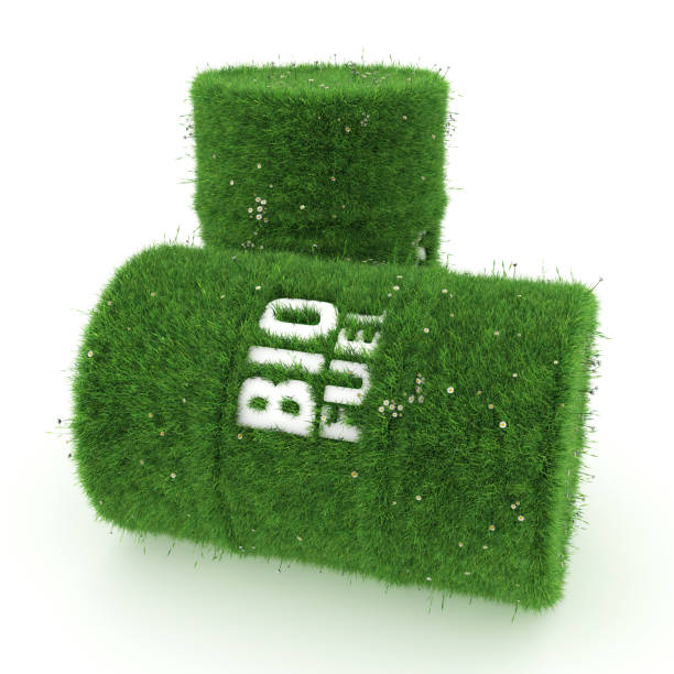istock 3D rendering barrels of biofuels 1071188976