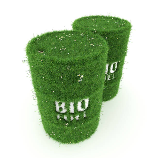 istock 3D rendering barrels of biofuels 1071189456