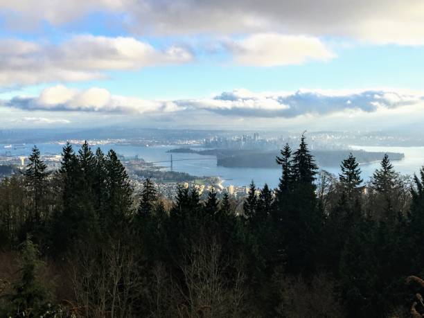 istock An epic distant view from Cypress Mountain of downtown Vancouver, including Lions Gate Bridge and Stanley Park, on a sunny winter day. 1071201864
