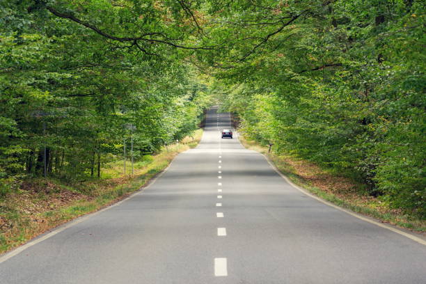 istock Car moving on local road with broken line in beautiful green forest with branches extending over the road, driverless technology concept 1071204188
