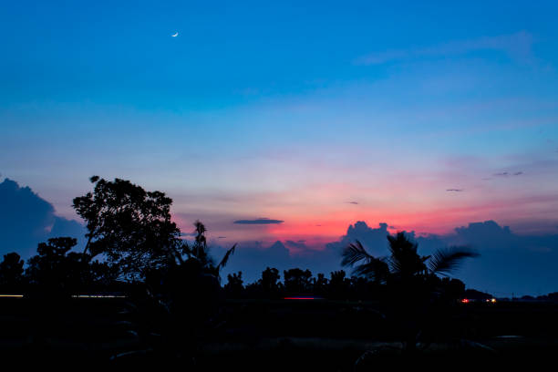 istock The sunset behind the trees the evening. 1071217076