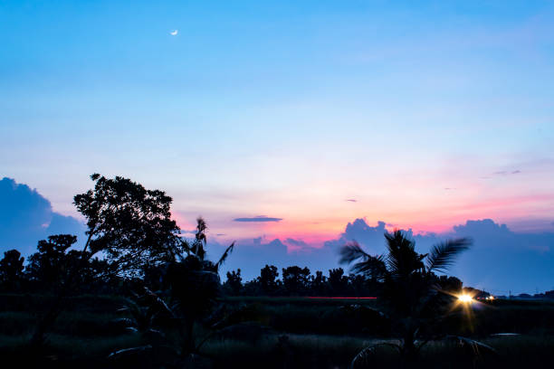 istock The sunset behind the trees the evening. 1071217090