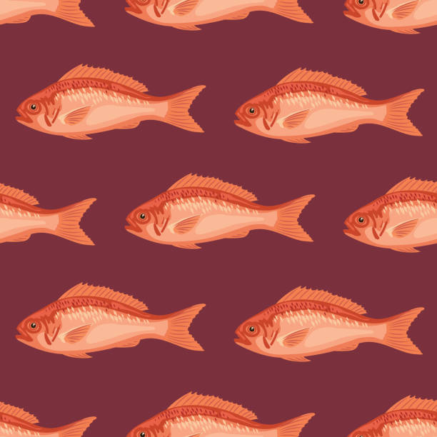 230+ Red Snapper Stock Illustrations, Royalty-Free Vector Graphics