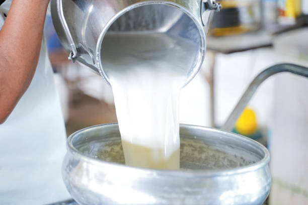istock Worker pouring milk into  the container tank for transform. 1071219408