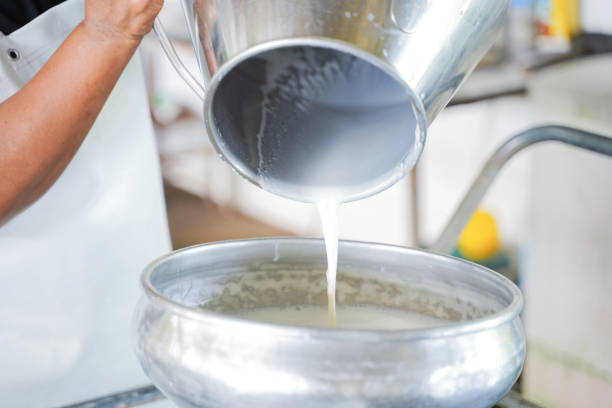 istock Worker pouring milk into  the container tank for transform. 1071219410