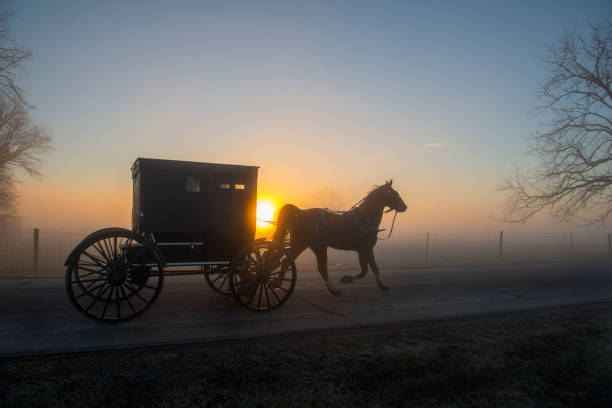 istock Amish Buggy at Dawn with Sun 1071227460