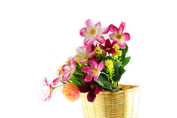 istock Flowers in pot bamboo on white background 1071228706