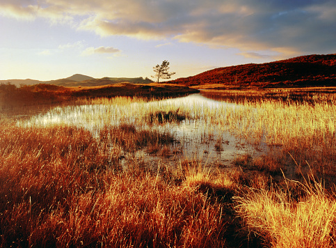 lake district national park cumbria england uk colour image shot on medium format film Camera