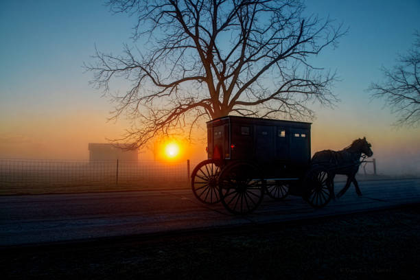 istock Amish Buggy and the Sun at Daybreak 1071238048