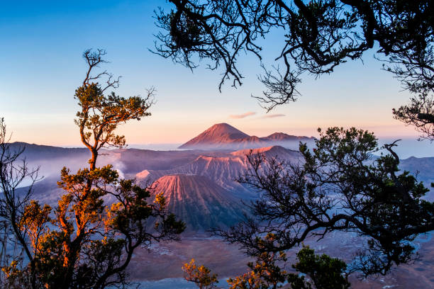 istock Sunrise at volcano Mt.Bromo (Gunung Bromo) East Java,Indonesia 1071239324