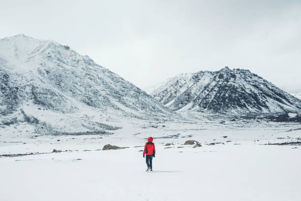 leh ladakh 지구, 인도의 북풍 부분의 눈 덮인 산 관점에서 등산객 남자 모험과 자유 개념 - ski skiing european alps resting 뉴스 사진 이미지