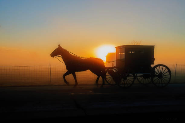 istock Amish Buggy and Sun at Dawn 1071244660