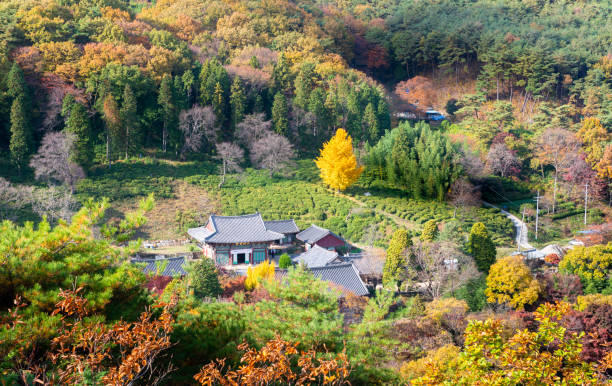 istock Buddhist temples and autumn foliage 1071247530