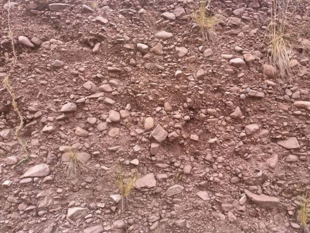 istock wall of earth and rocks sticking out 1071251000