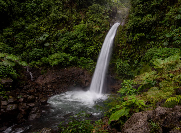 wasserfall in costa rica - costa rica waterfall heaven rainforest stock-fotos und bilder