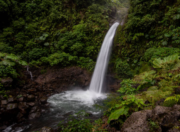 코스타 리카의 폭포 - costa rica waterfall heaven rainforest 뉴스 사진 이미지