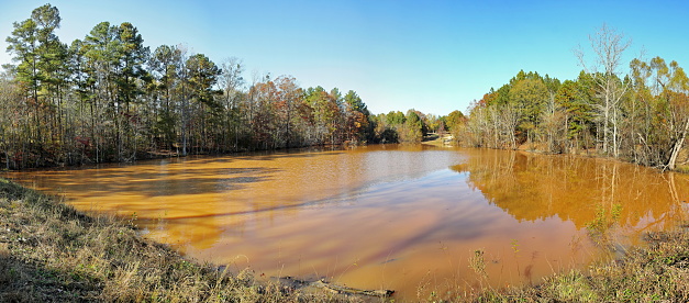 Late Autumn in South Carolina at the forest pond.